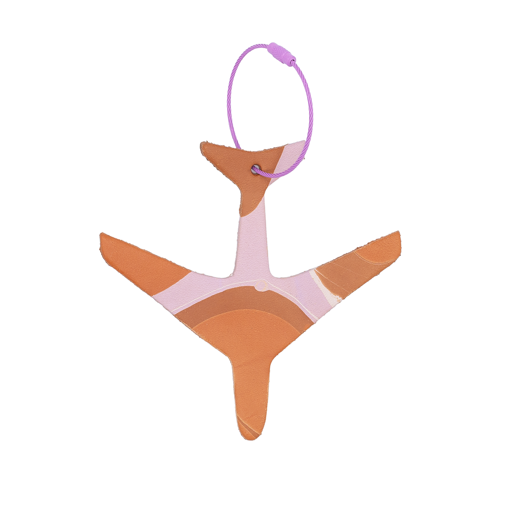 Airplane Bag Tag