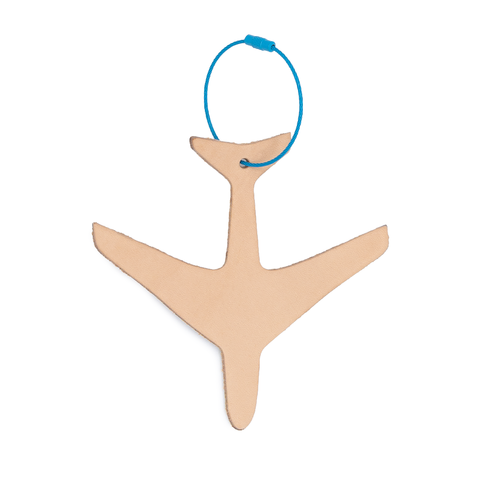 Airplane Bag Tag