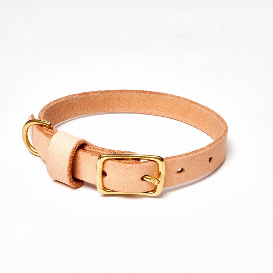 Young Pup Collar